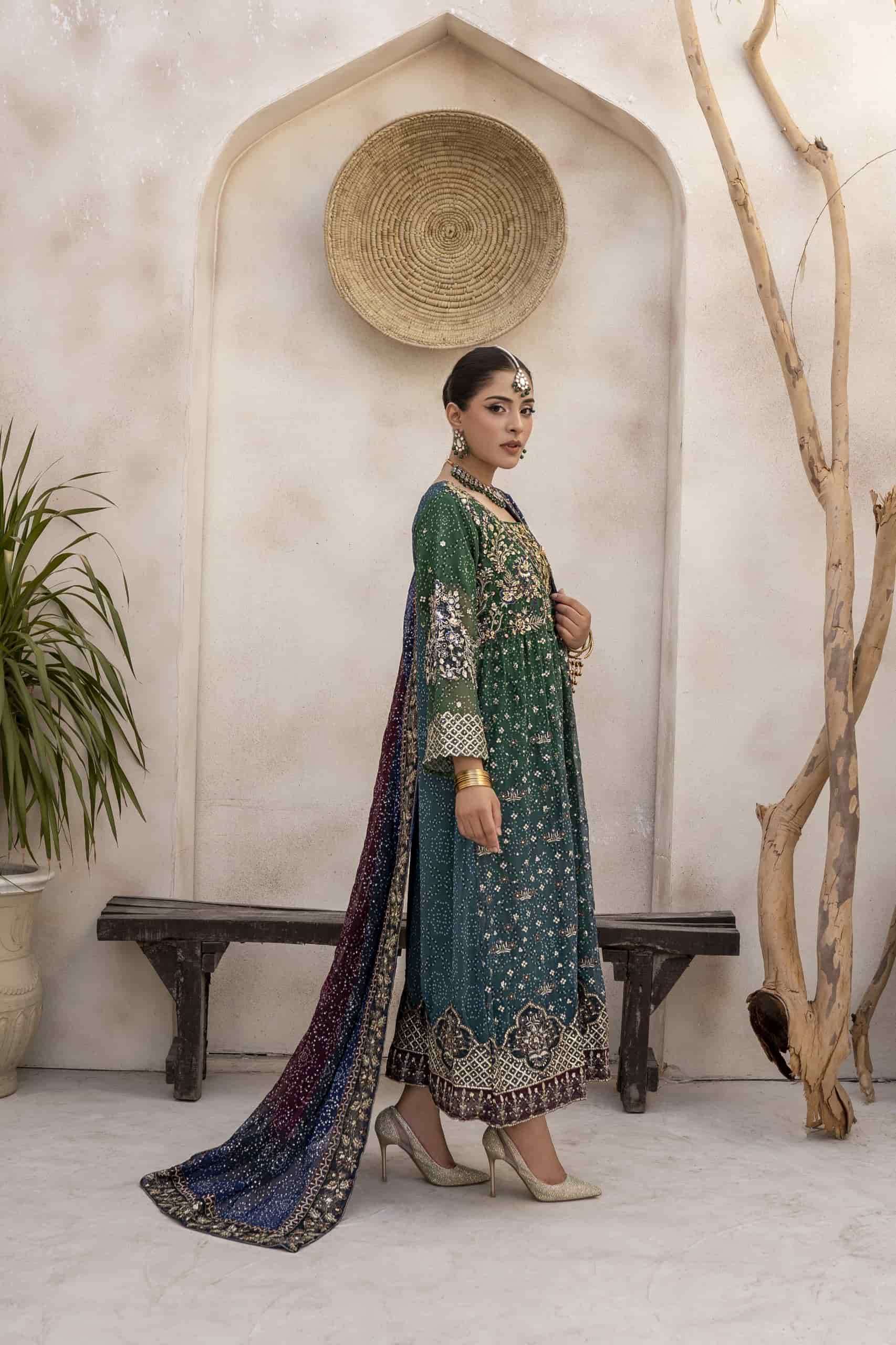 Shree Fabs Sf 5602 Partywear Pakistani Dress Latest Collection view 2