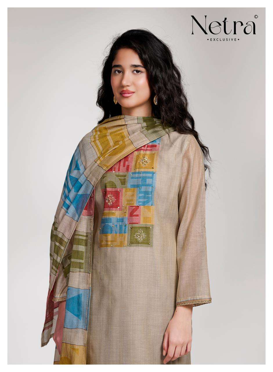 Netra Surekha Pure Banarasi Chanderi Suit Collection view 4