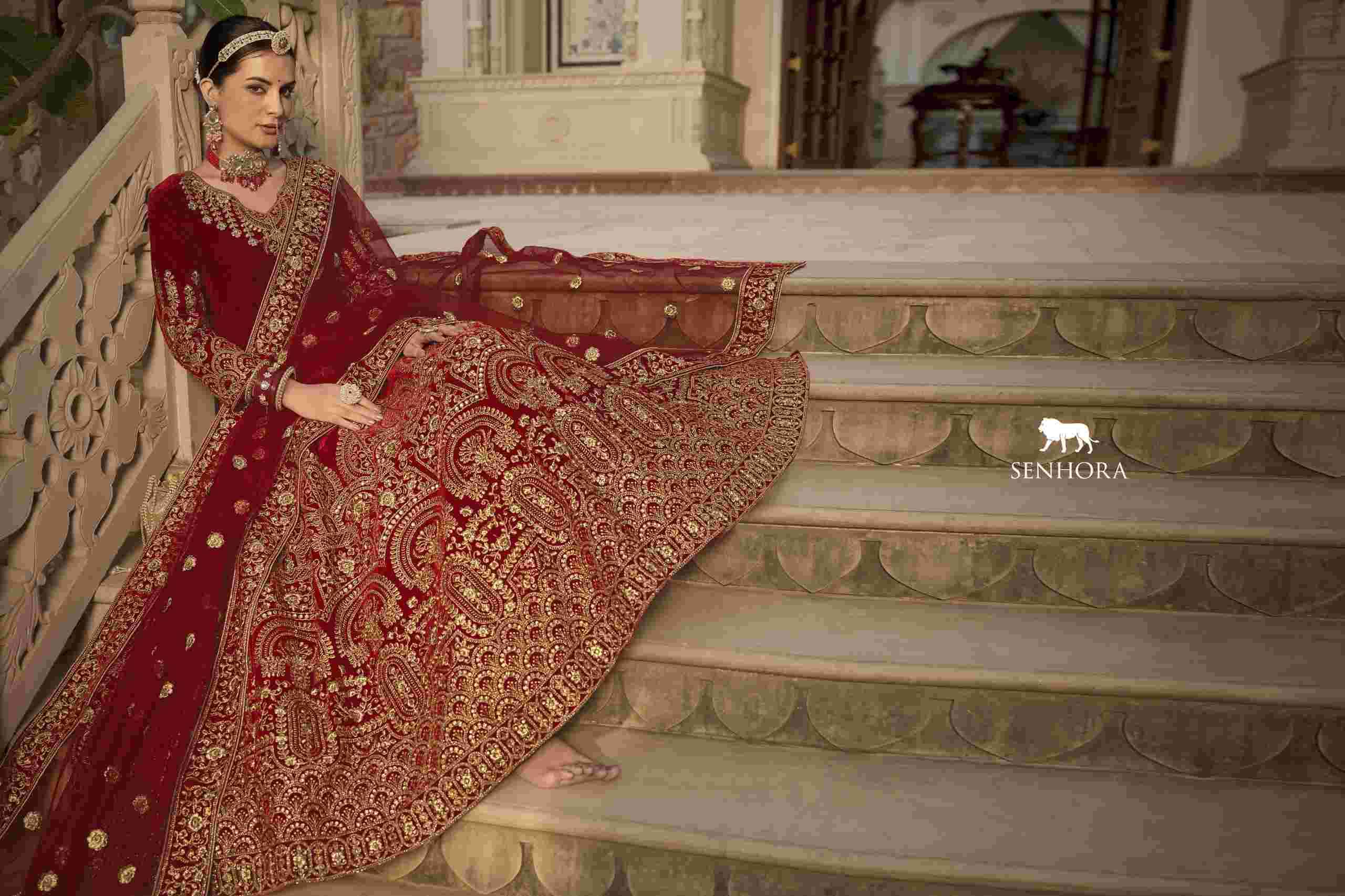 Senhora Riwayat Velvet Bridal Anarkali Gown view 4