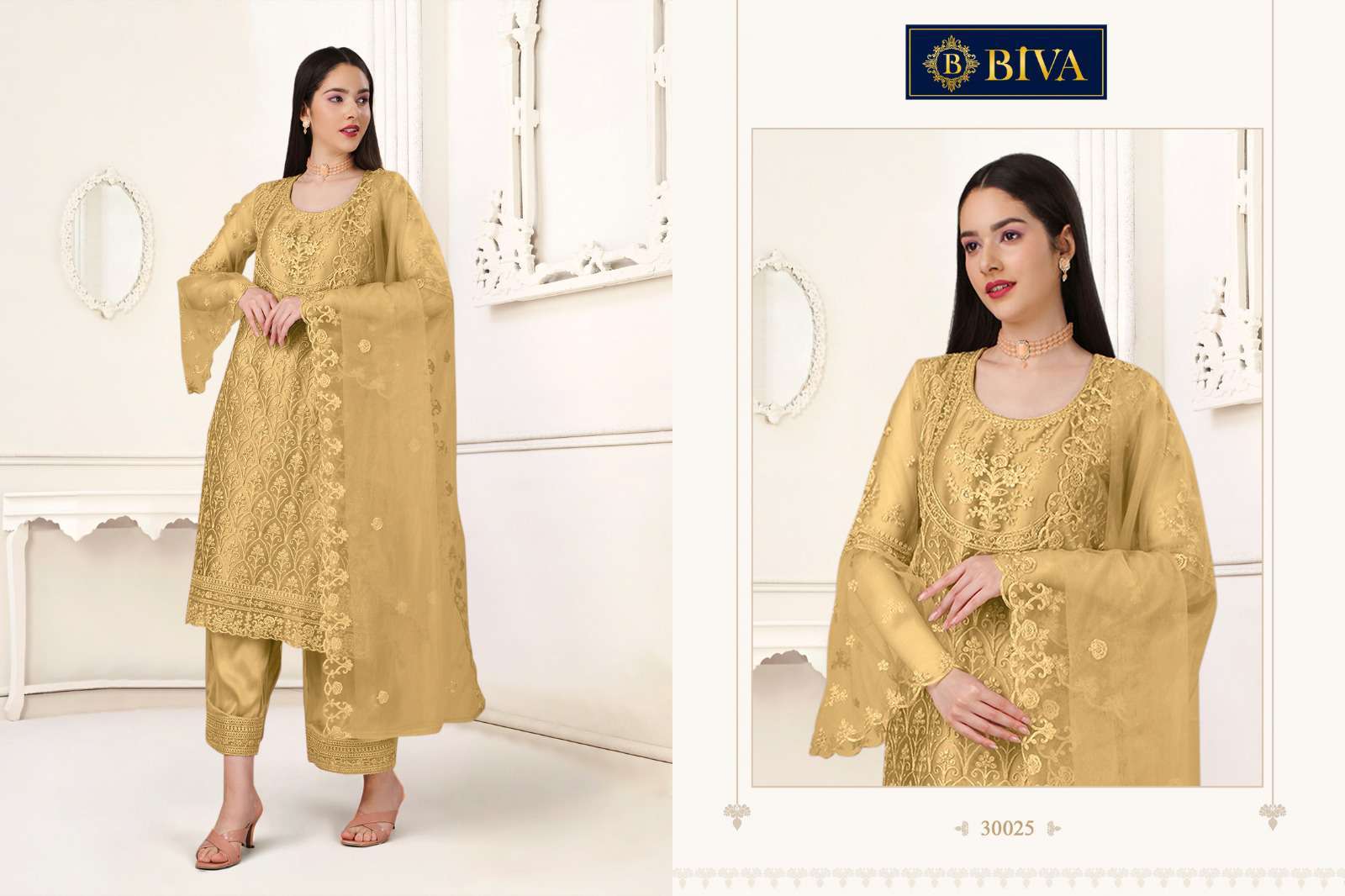Biva Aishaa Pakistani Style Net Salwar Suit view 3
