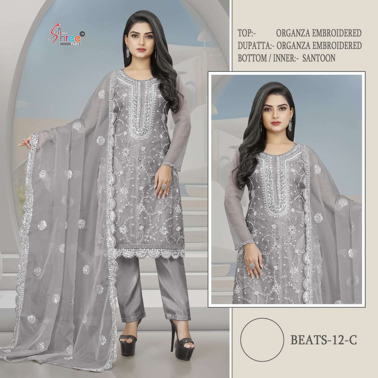Beats Pakistani Organza Embroidered Suit view 3