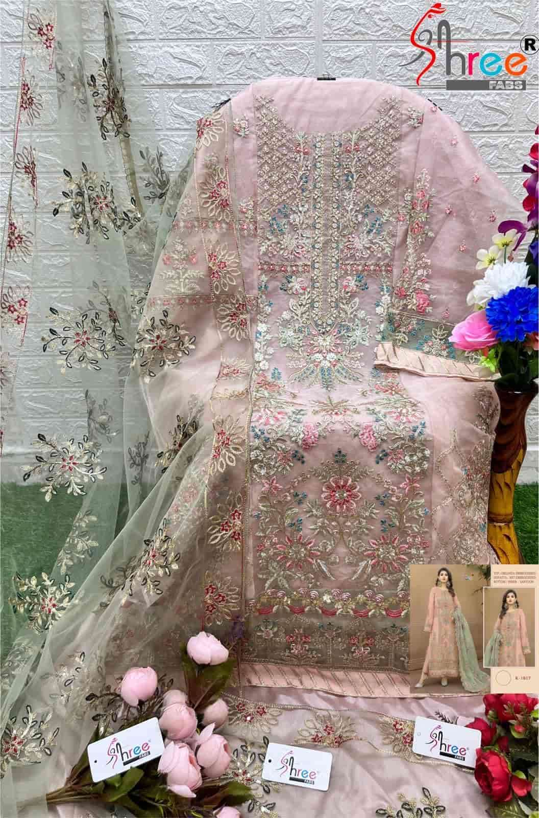 Pakistani Style Organza Wedding Salwar Suit view 3