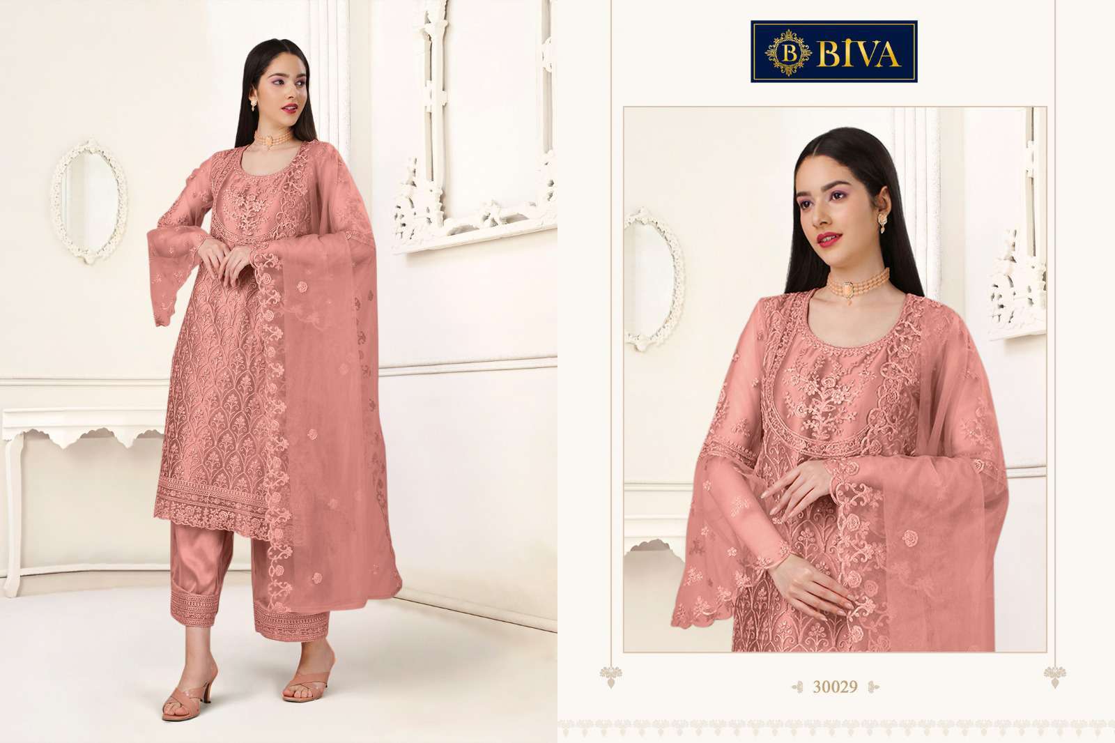 Biva Aishaa Pakistani Style Net Salwar Suit view 7