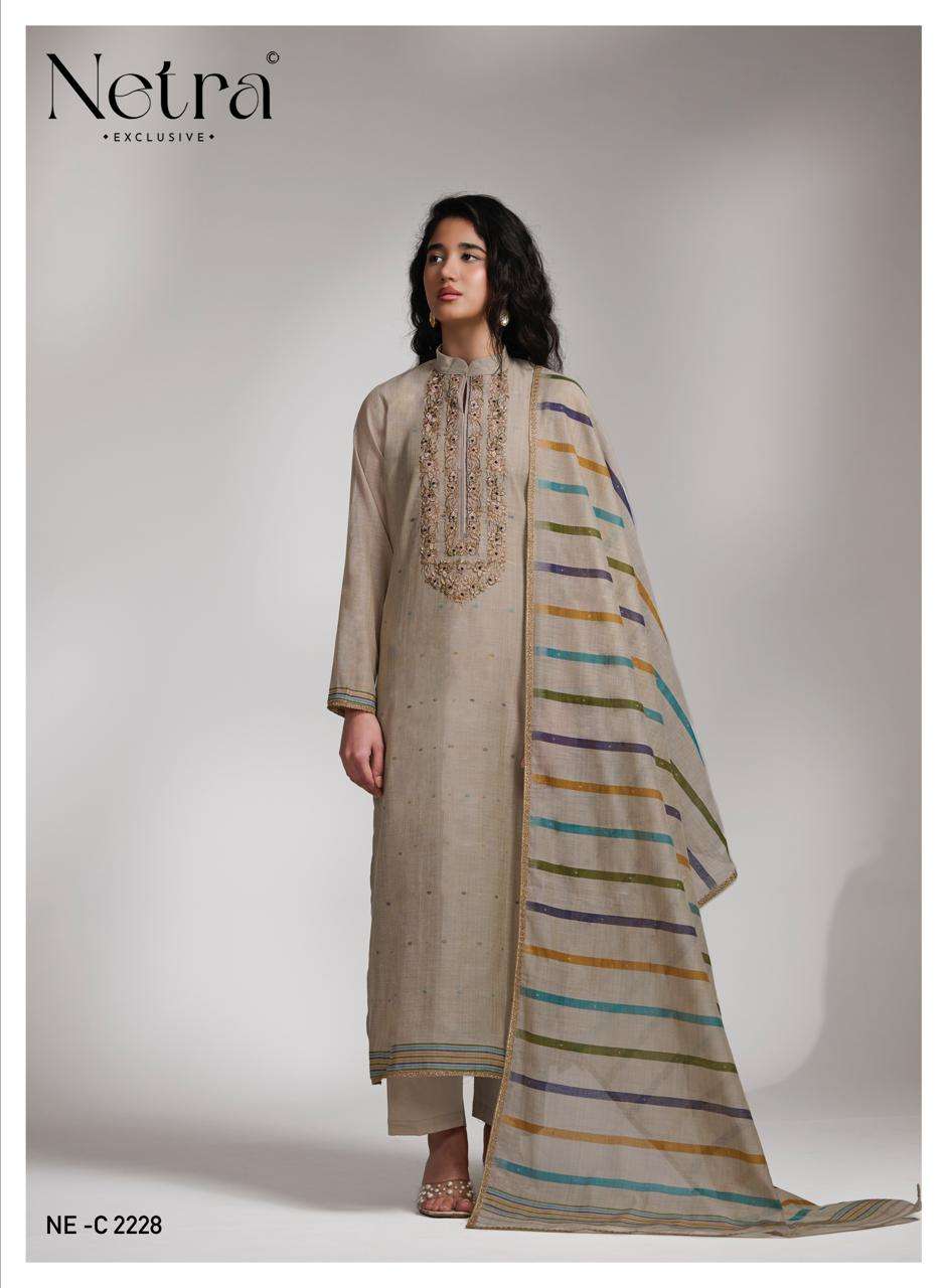 Netra Chameli Premium Banarasi Suit view 4