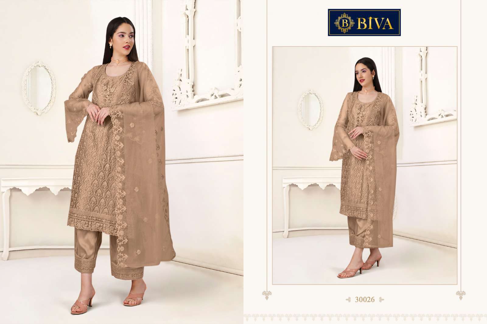 Biva Aishaa Pakistani Style Net Salwar Suit view 6