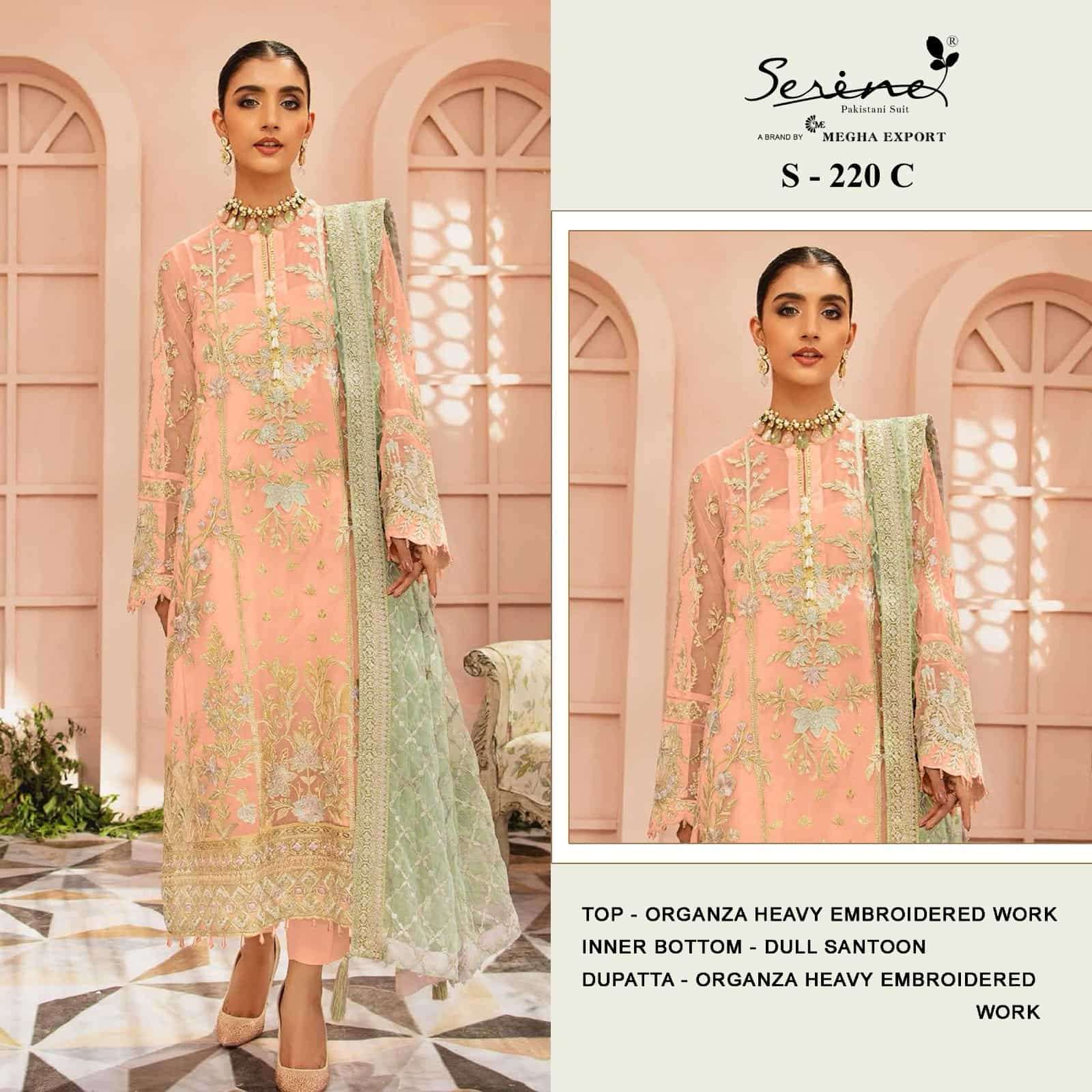 Megha Export S 220 Colors Pakistani Heavy Designer Style Festive Wear Suit Wholesalers view 2