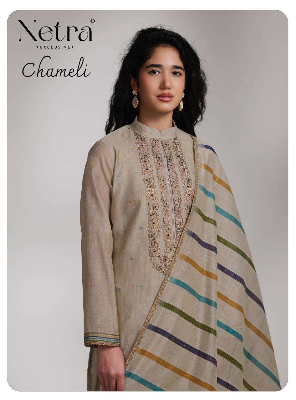 Netra Chameli Premium Banarasi Suit view 2