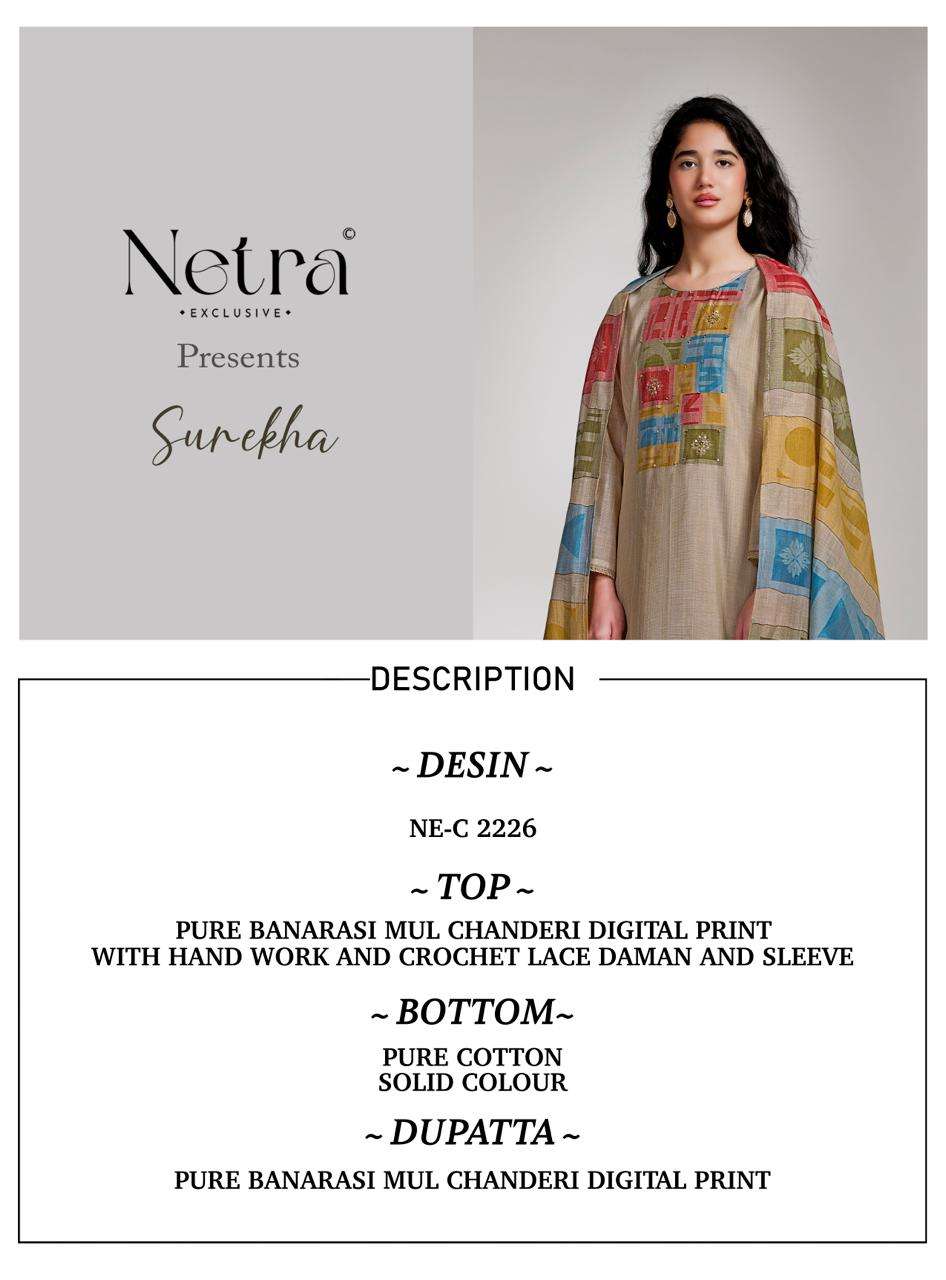 Netra Surekha Pure Banarasi Chanderi Suit Collection view 7
