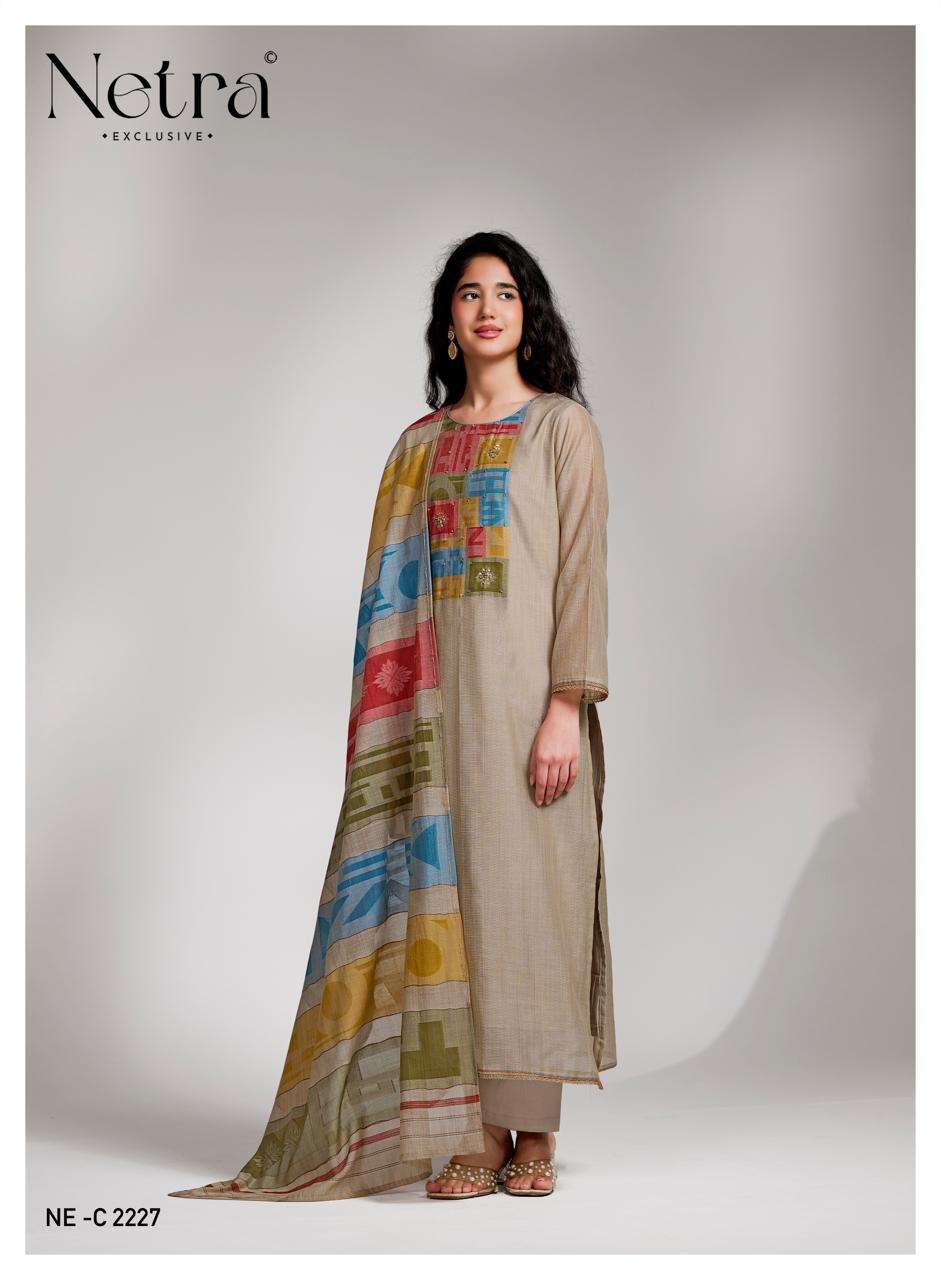 Netra Surekha Pure Banarasi Chanderi Suit Collection view 3
