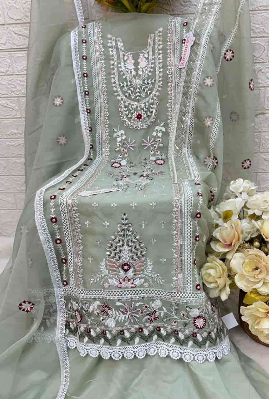 Fepic 1728 C Exclusive Organza Pakistani Salwar Kameez Ensemble view 2
