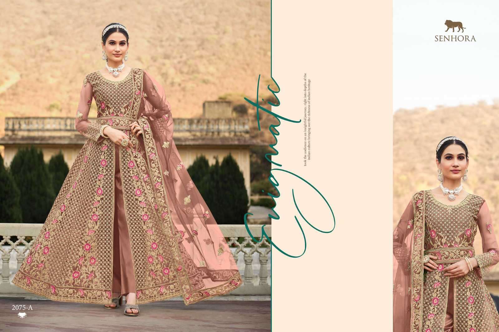 Senhora Carolina 2075 Designer Anarkali Suit view 2