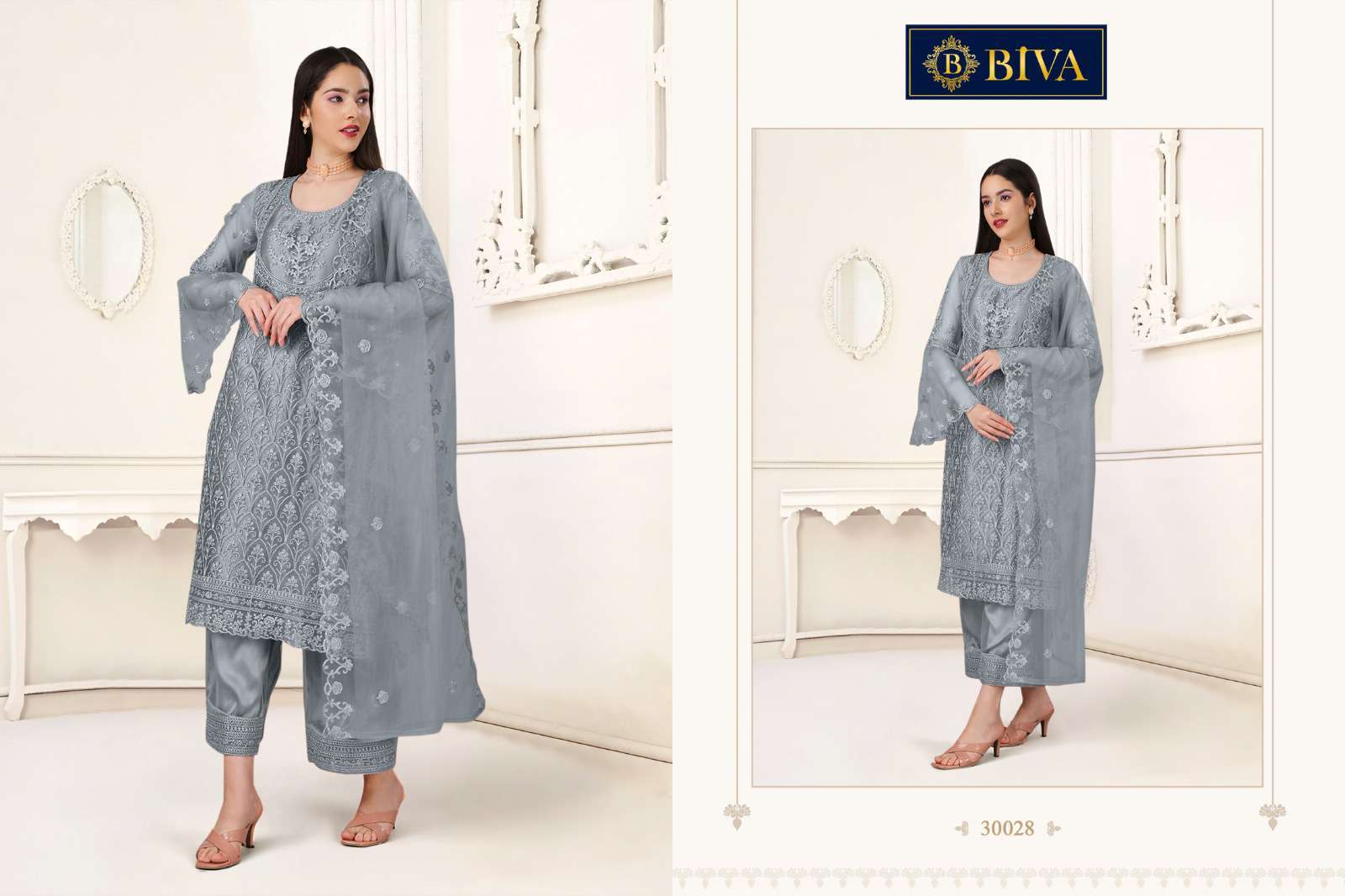 Biva Aishaa Pakistani Style Net Salwar Suit view 8