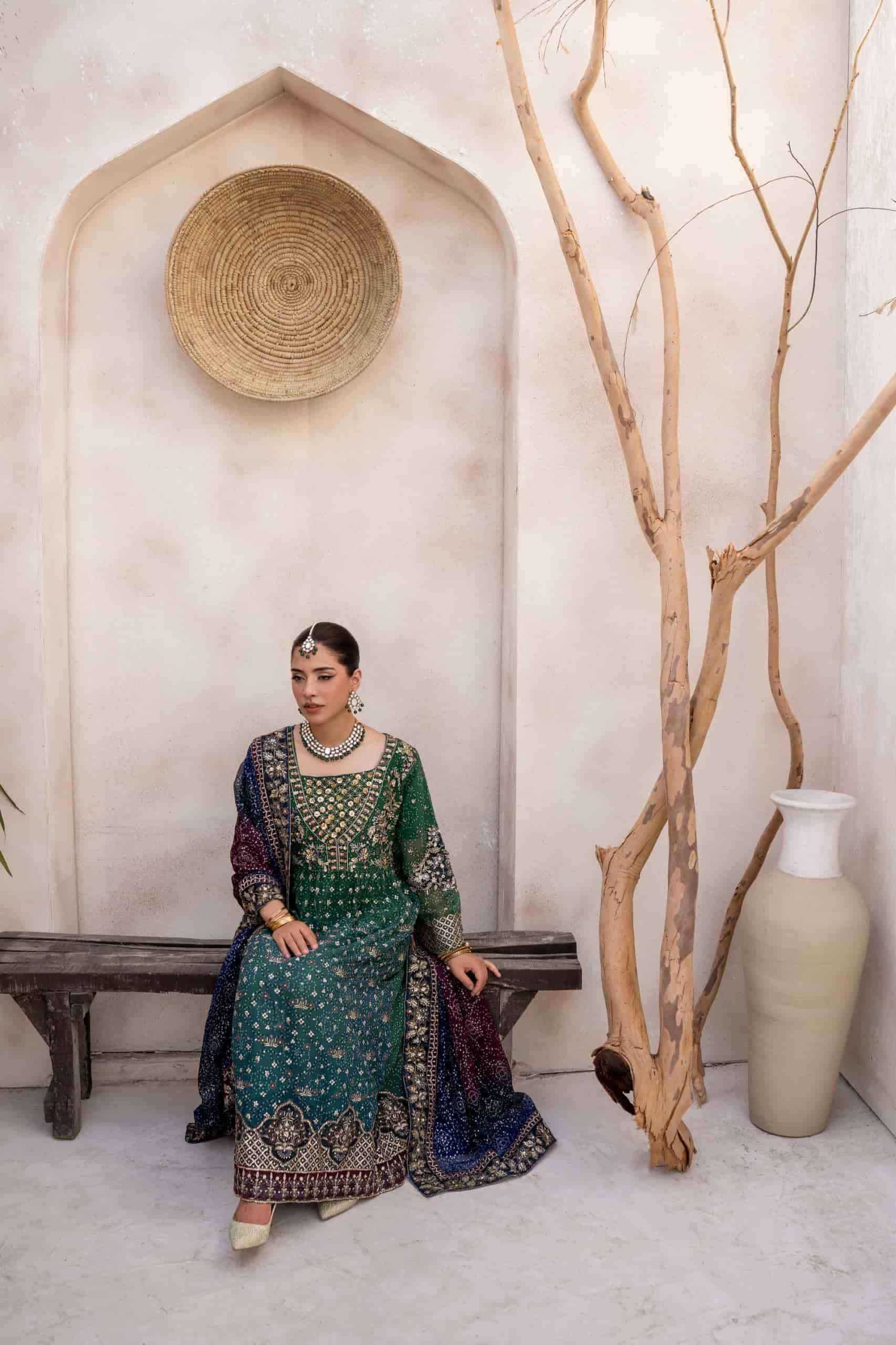 Shree Fabs Sf 5602 Partywear Pakistani Dress Latest Collection view 5