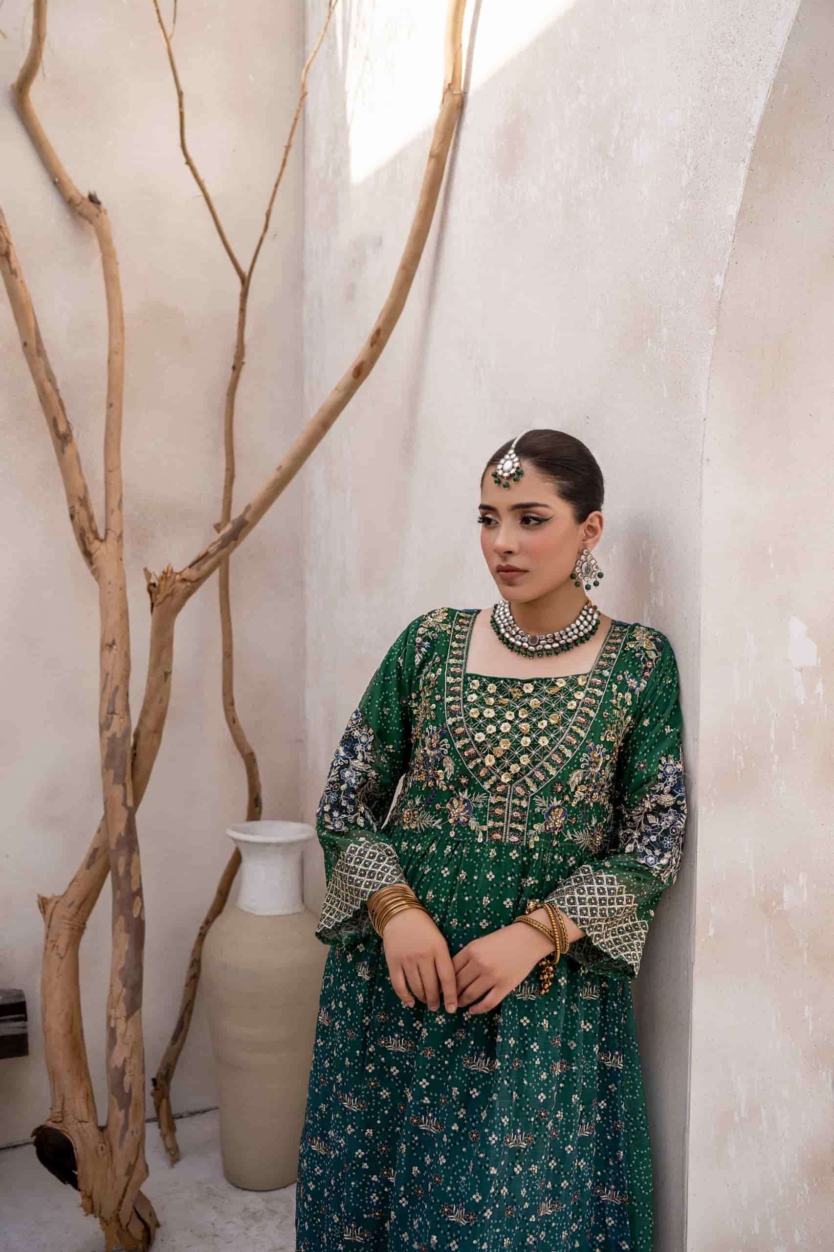 Shree Fabs Sf 5602 Partywear Pakistani Dress Latest Collection view 4