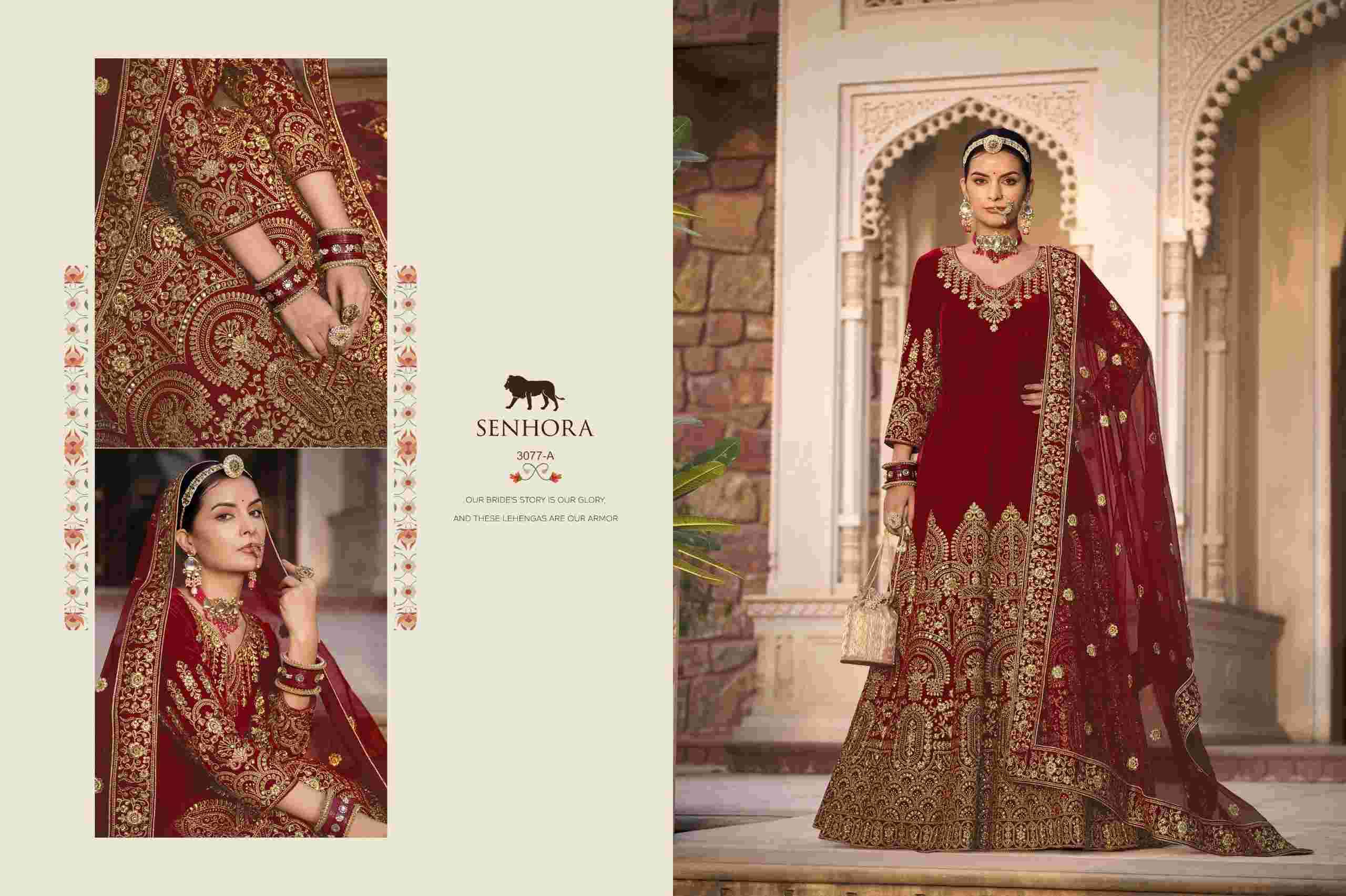 Senhora Riwayat Velvet Bridal Anarkali Gown view 3