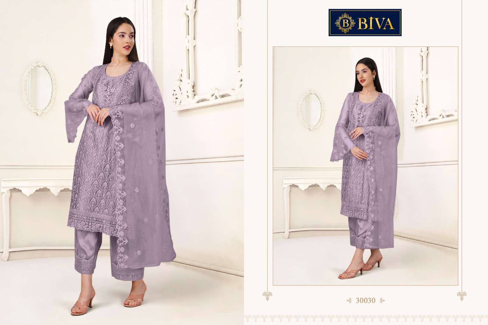 Biva Aishaa Pakistani Style Net Salwar Suit view 10
