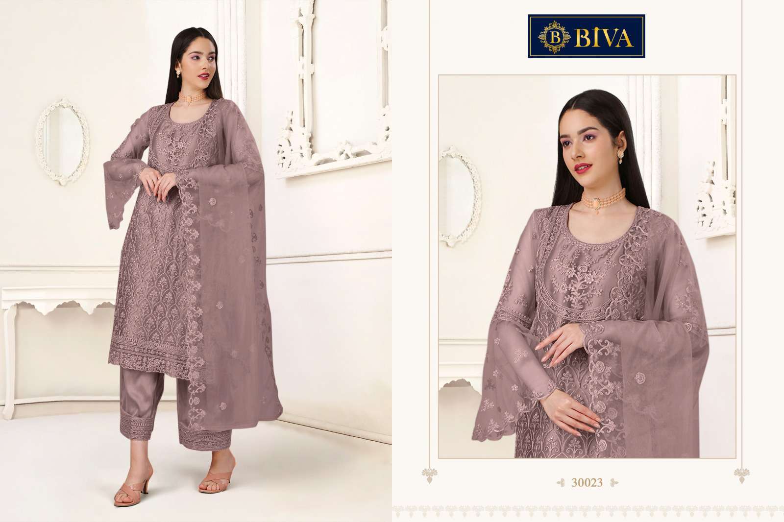 Biva Aishaa Pakistani Style Net Salwar Suit view 2