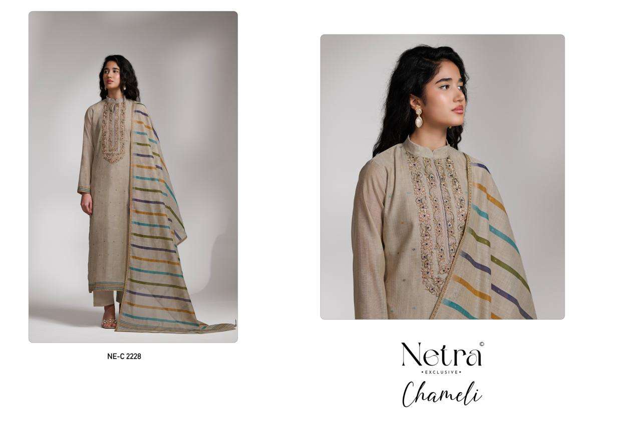 Netra Chameli Premium Banarasi Suit view 6