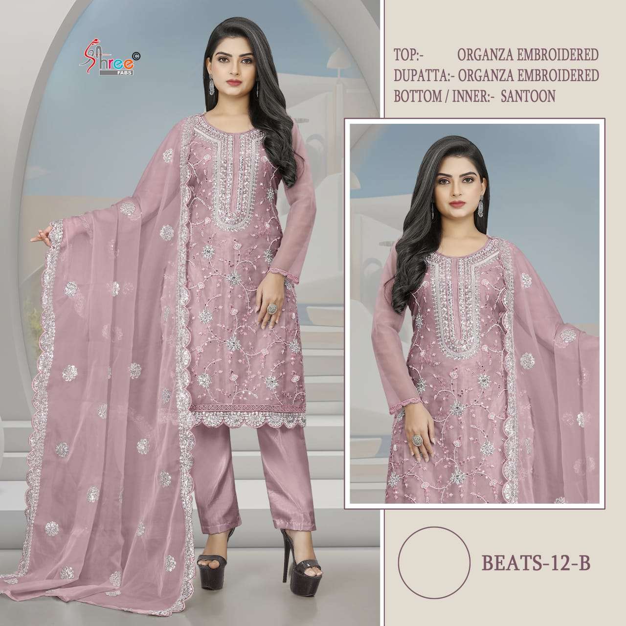 Beats Pakistani Organza Embroidered Suit view 2