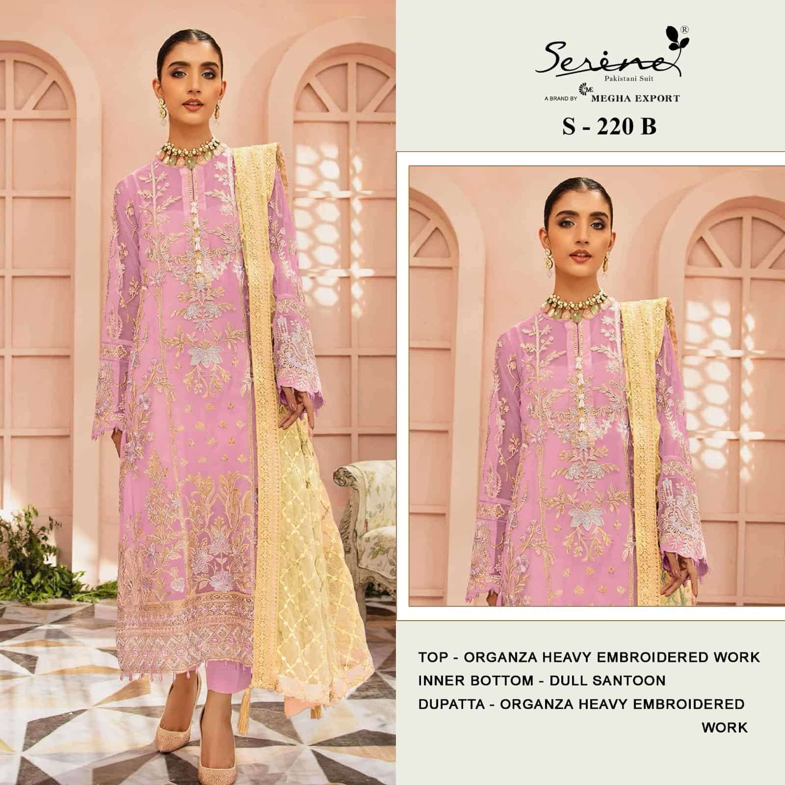 Megha Export S 220 Colors Pakistani Heavy Designer Style Festive Wear Suit Wholesalers view 3
