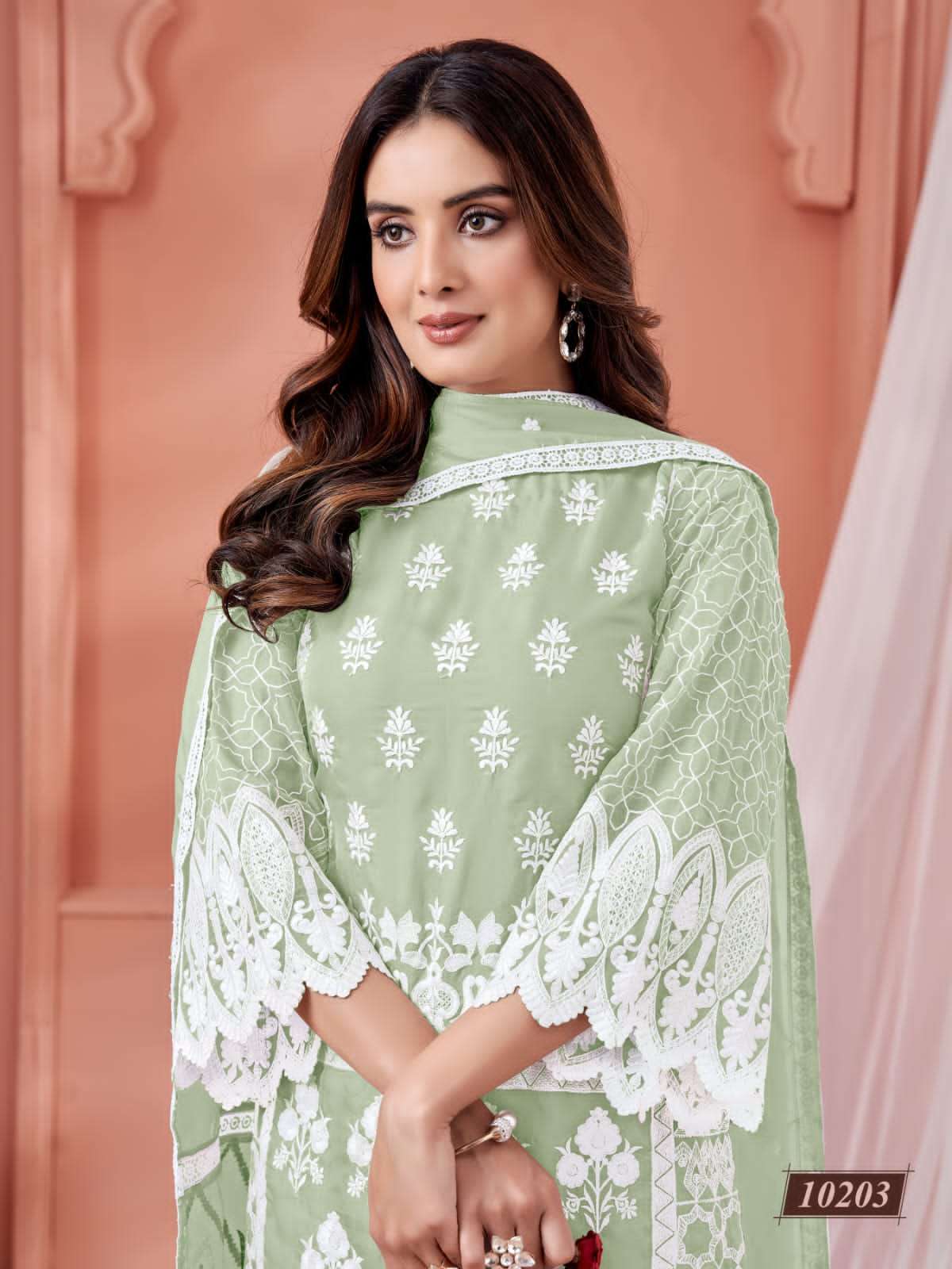 Anjubaa Lucknowi Organza Salwar Suit view 3