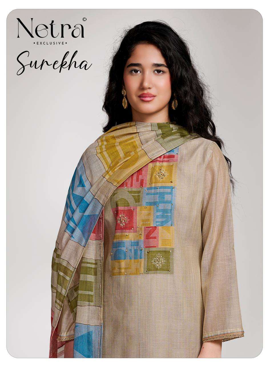 Netra Surekha Pure Banarasi Chanderi Suit Collection view 2