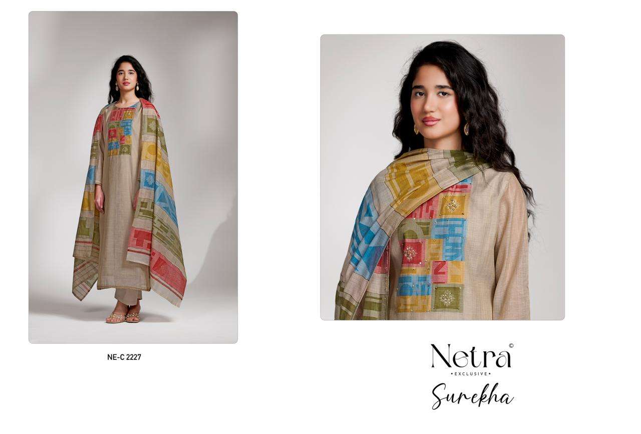 Netra Surekha Pure Banarasi Chanderi Suit Collection view 5