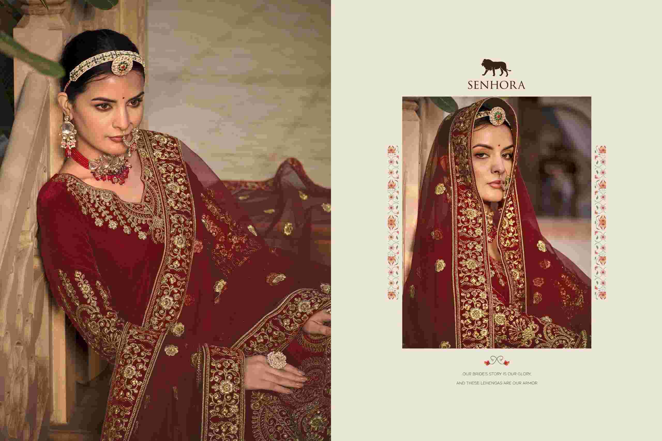 Senhora Riwayat Velvet Bridal Anarkali Gown view 5