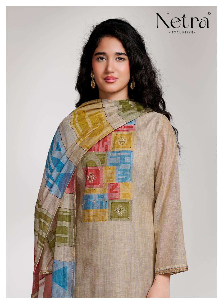 Netra Surekha Pure Banarasi Chanderi Suit Collection view 6