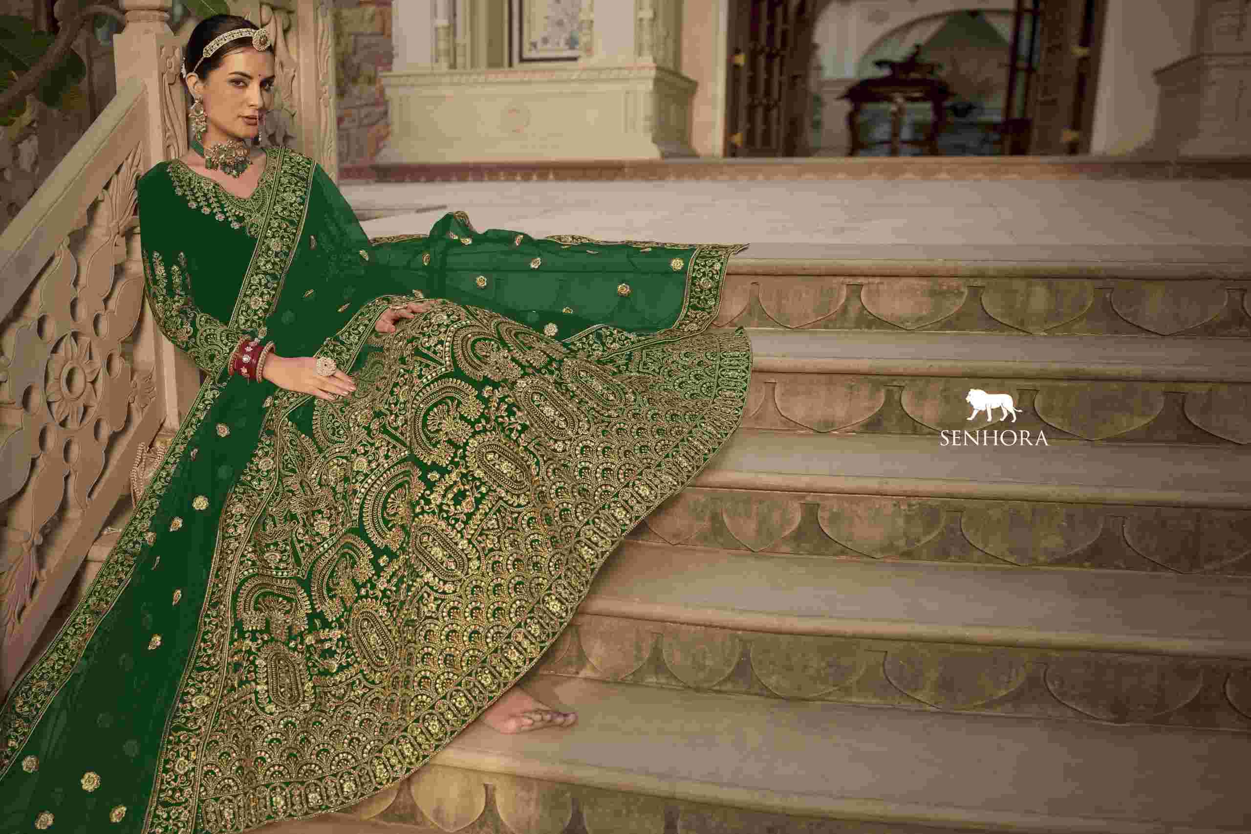 Senhora Riwayat Velvet Bridal Anarkali Gown view 13
