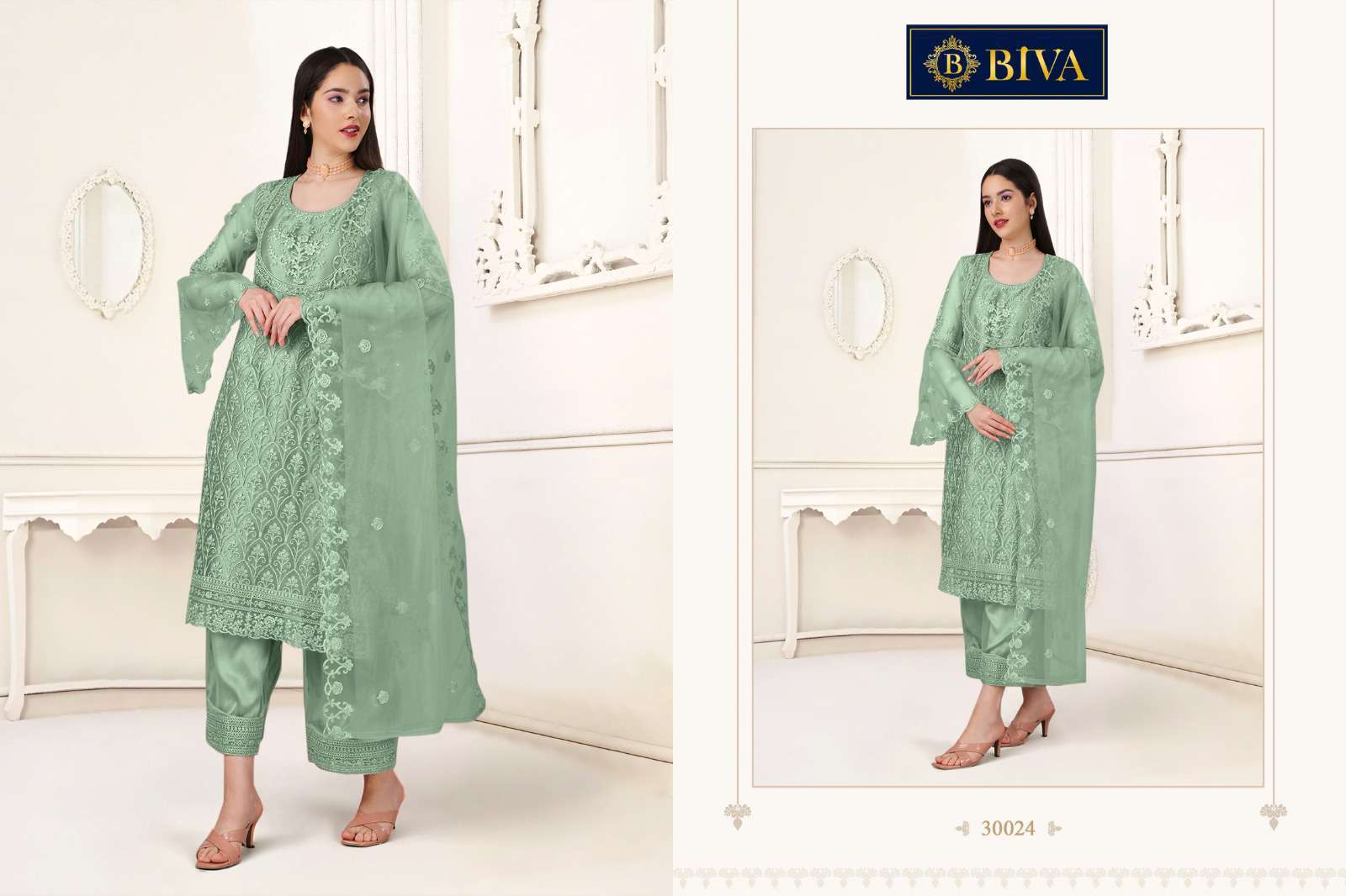 Biva Aishaa Pakistani Style Net Salwar Suit view 4